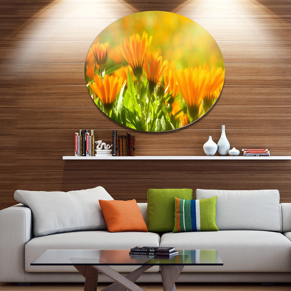 Orange Marigold Flowers In Sunlight, Floral Round Wall Art, 36"