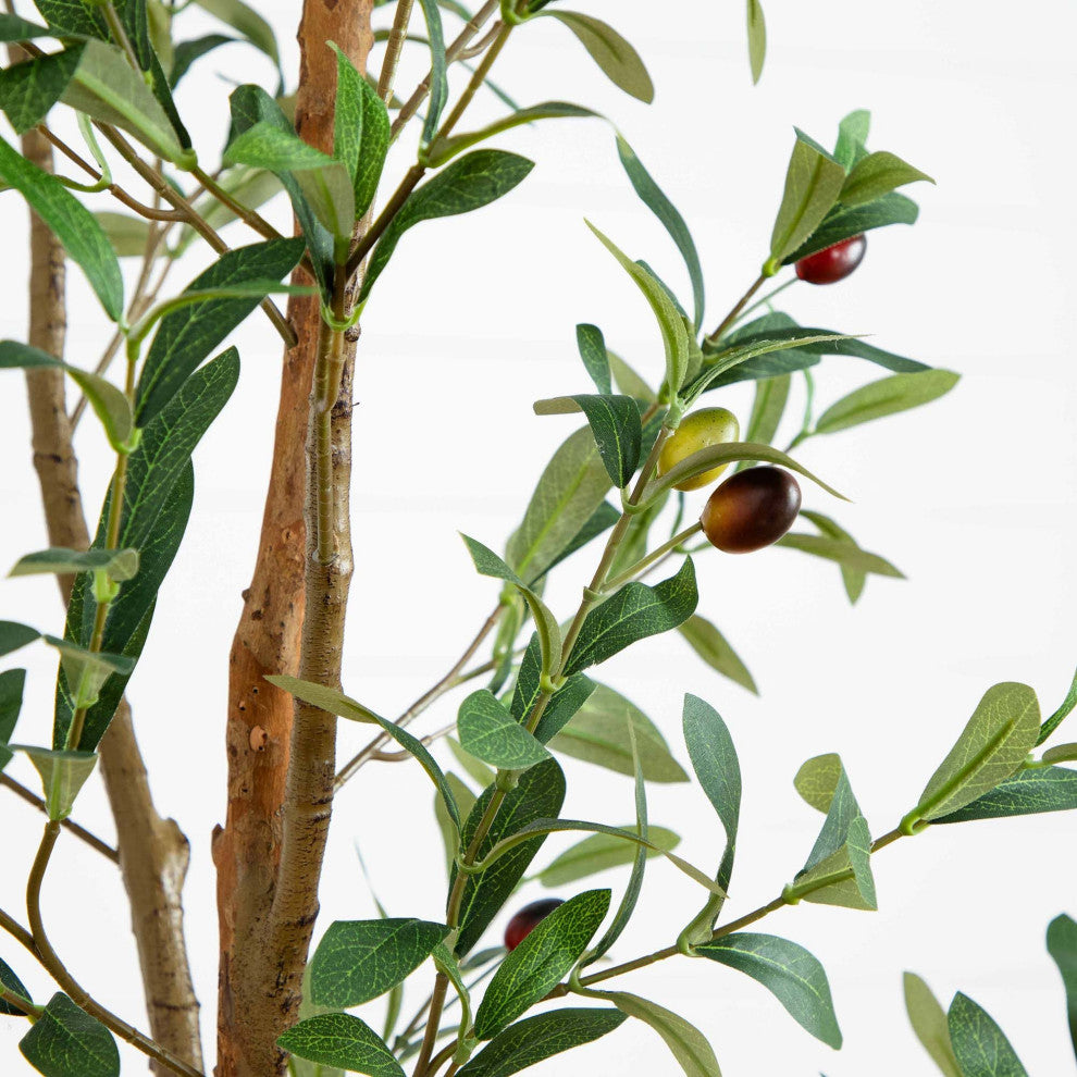 6ft. Artificial Olive Tree With Natural Trunk