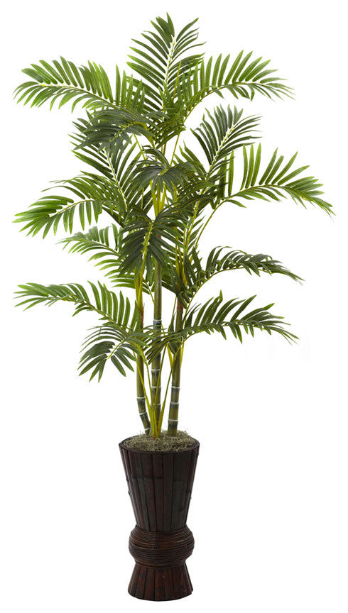 62" Areca Tree With Decorative Planter