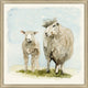 Lamb Duo, Giclee Reproduction Artwork