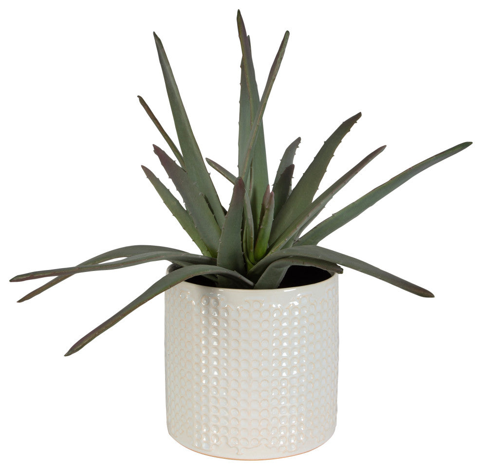 Taos Aloe Centerpiece