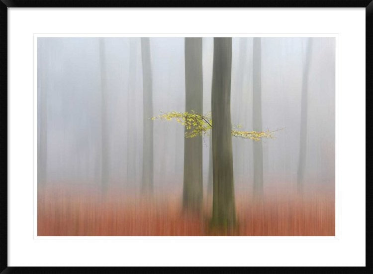 "Autumnmorning" Framed Digital Print by Huib Limberg, 38"x28"