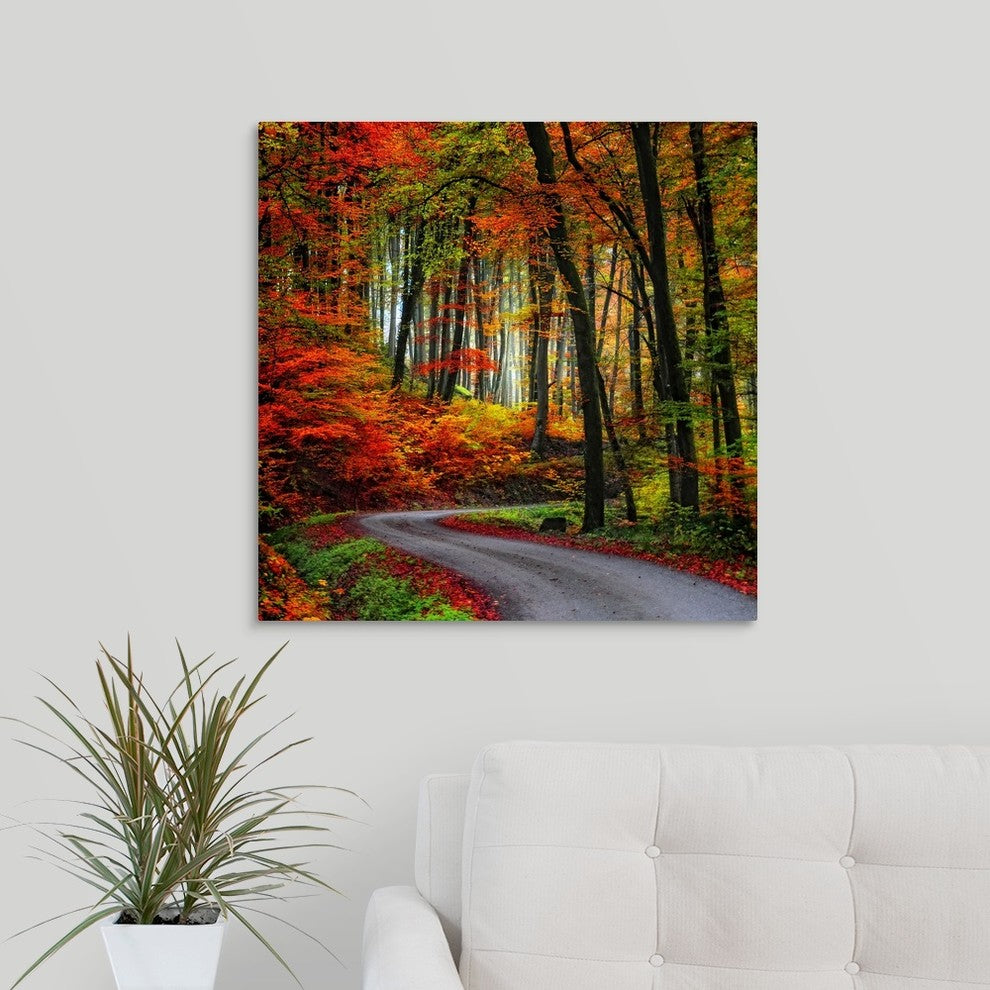 "Colorful Way" Wrapped Canvas Art Print, 24"x24"x1.5"