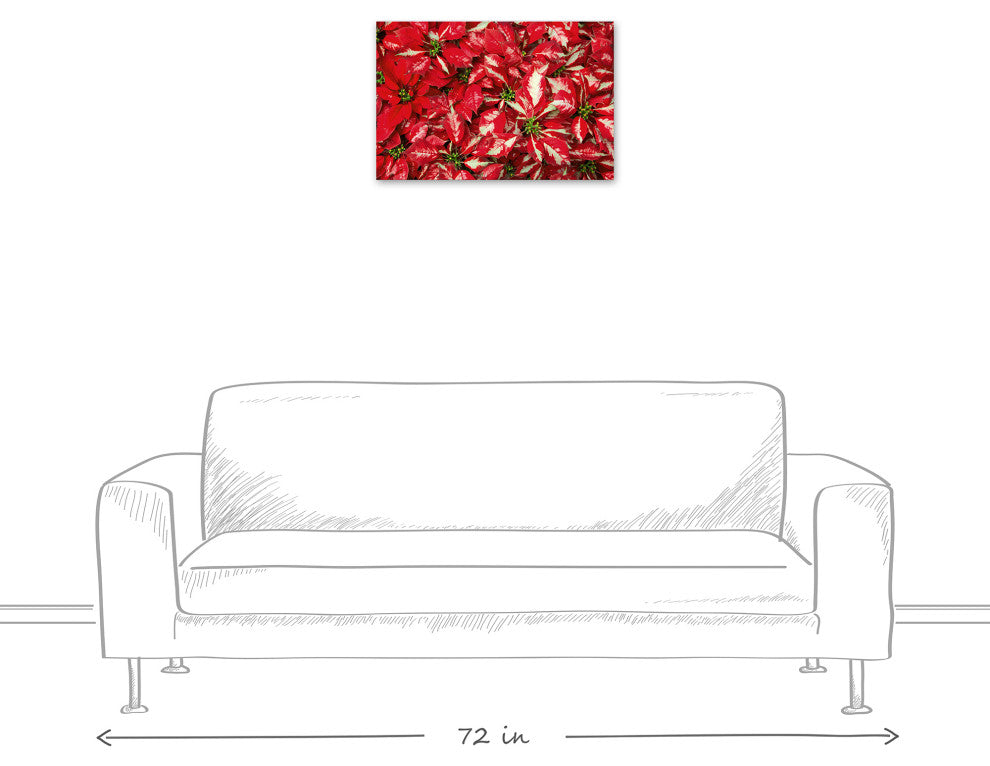Pointsettia Blooms 2 16x24 Canvas Wall Art