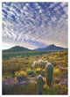 "Saguaro/Teddybear Cholla, Lupine/California Brittlebush" Paper Art, 30.4"x42"