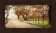 "Fog Ahead" By D. Burt, Framed Wall Art, Ready to Hang