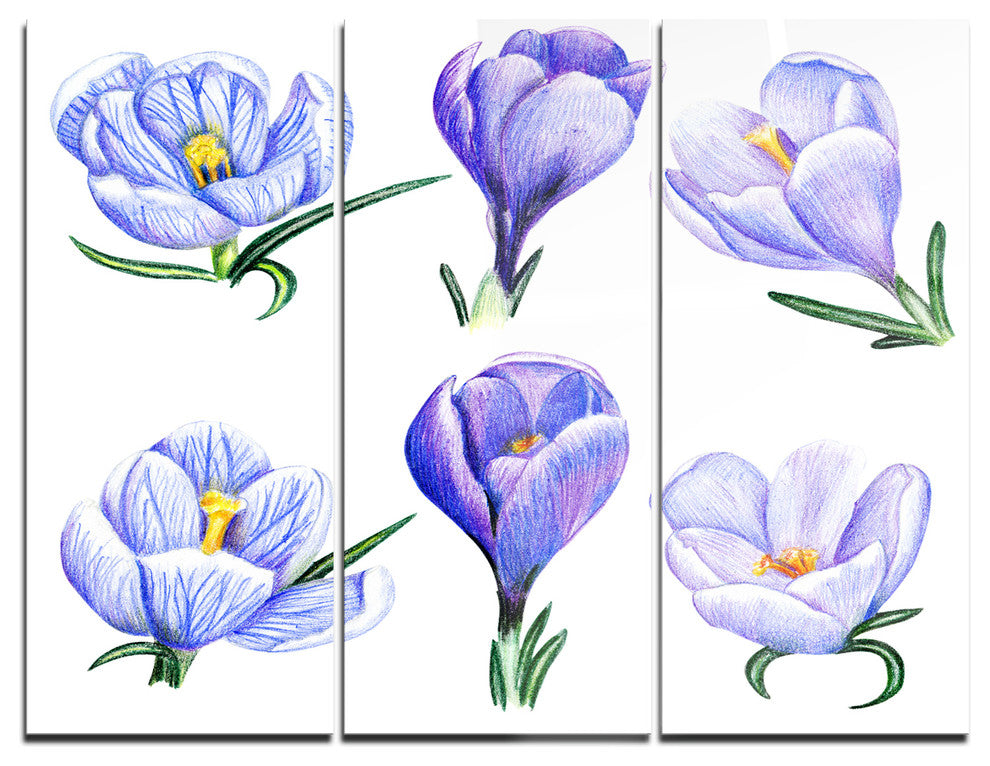 "Hand drawn Crocuses" Metal Wall Art, 3 Panels, 36"x28"