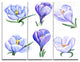 "Hand drawn Crocuses" Metal Wall Art, 3 Panels, 36"x28"