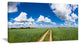 Path in Bright Summer Panorama, Landscape Canvas Art Print, 60"x28"