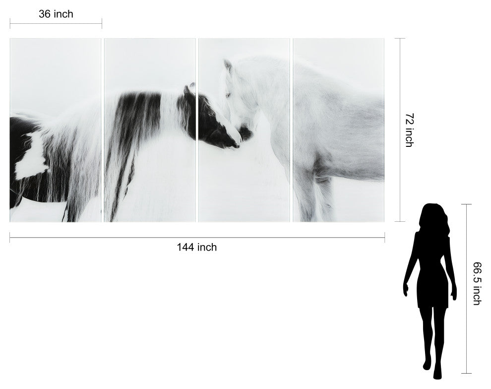 Collection of Horses Frameless Free Floating Tempered Glass Graphic Wall Art Set