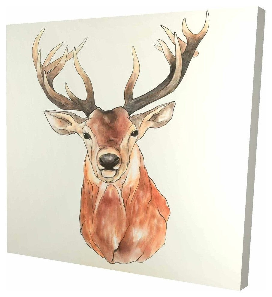 Front Deer Portrait, Fine Art Gallery Wrapped Canvas, 24"x24"