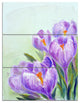 "Crocuses Looking into Sky" Glossy Metal Wall Art, 3 Panels, 28"x36"