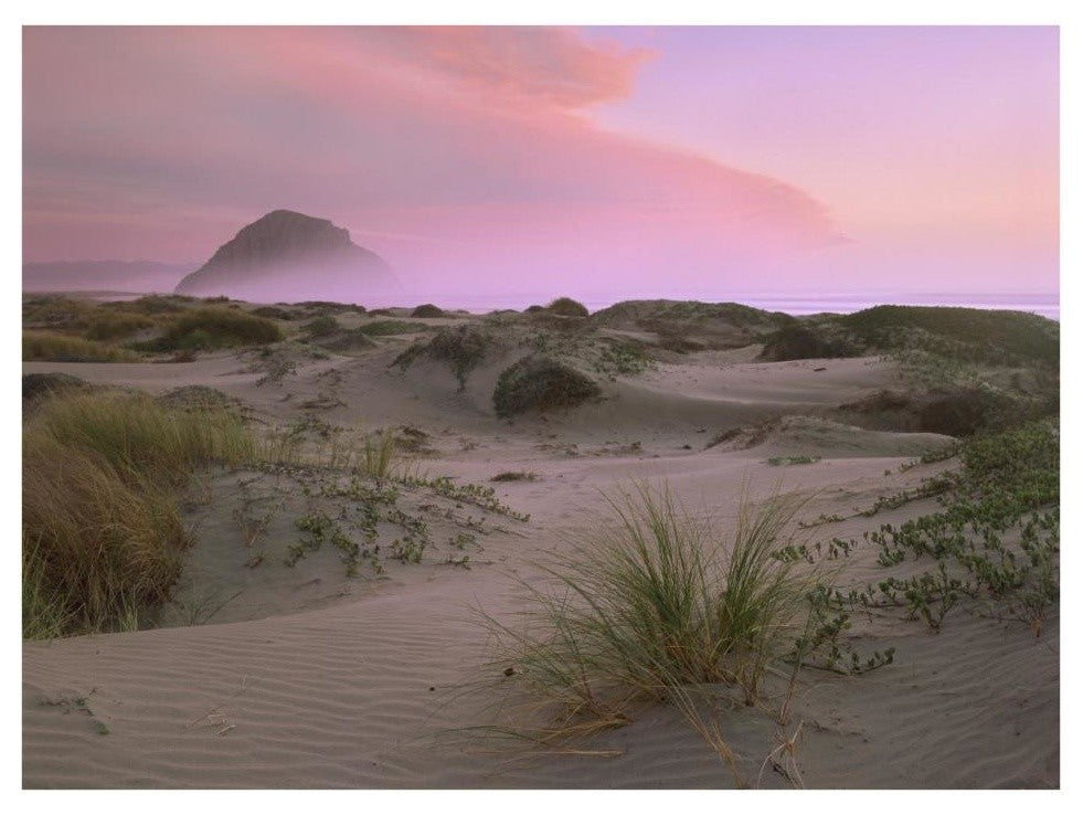 "Morro Rock at Morro Bay, California" Paper Print by Tim Fitzharris, 34"x26"