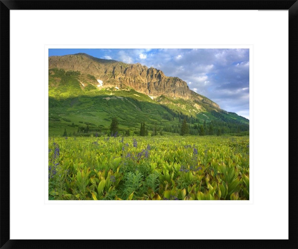 Gothic Mountain Overlooking Meadow Near Crested Butte, Colorado, 22"x18"