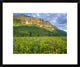 Gothic Mountain Overlooking Meadow Near Crested Butte, Colorado, 22"x18"