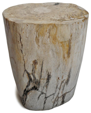 Petrified Stump Side Table / Stool