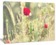Meadow with Wild Poppy Flowers, Large Flower Canvas Art Print, 60"x28"