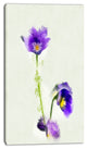 Purple Liverleaf Flower Watercolor, Floral Canvas Art Print, 16"x32"