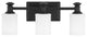 Minka-Lavery 5173-66A, 3-Light Vanity, Harbour Point, Coal