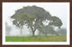 "The Field of Memories" Framed Painting Print, 24x16