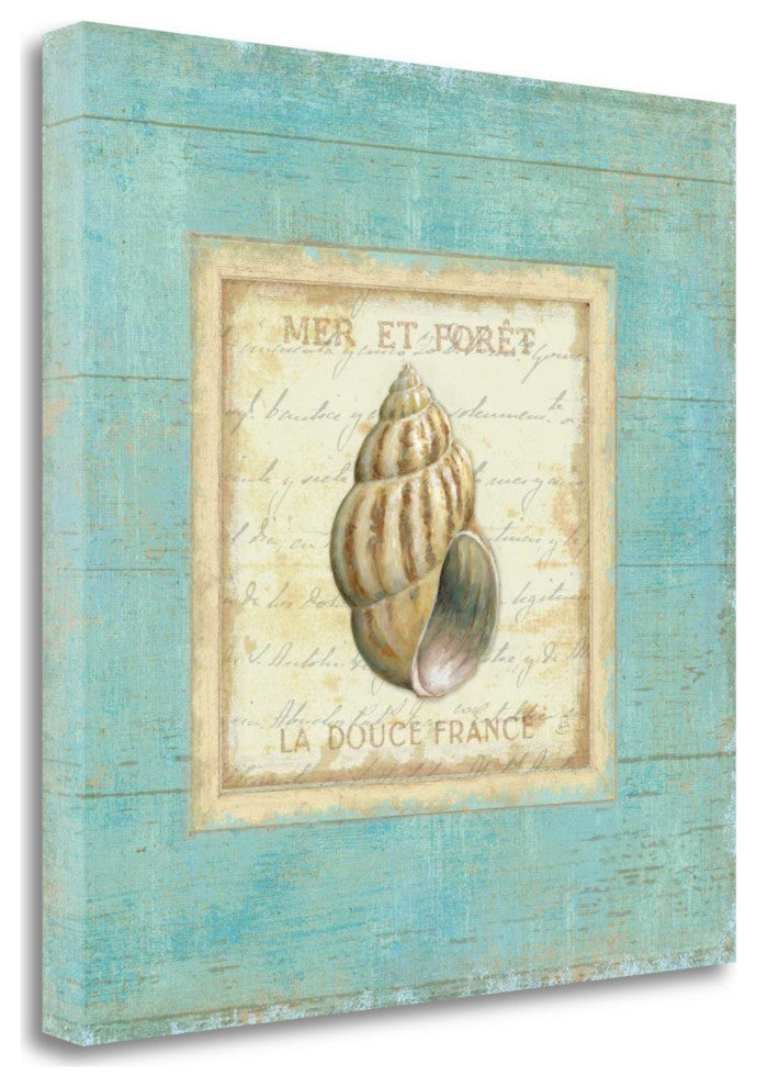20" French Inspired Seashell Print on Gallery Wrap Canvas Wall Art