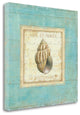 20" French Inspired Seashell Print on Gallery Wrap Canvas Wall Art
