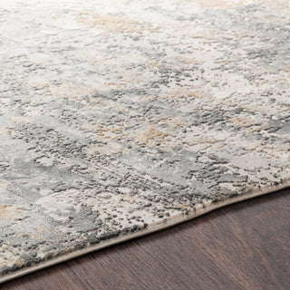 Aisha AIS-2303 Rug, Charcoal, 2'7"x7'7"