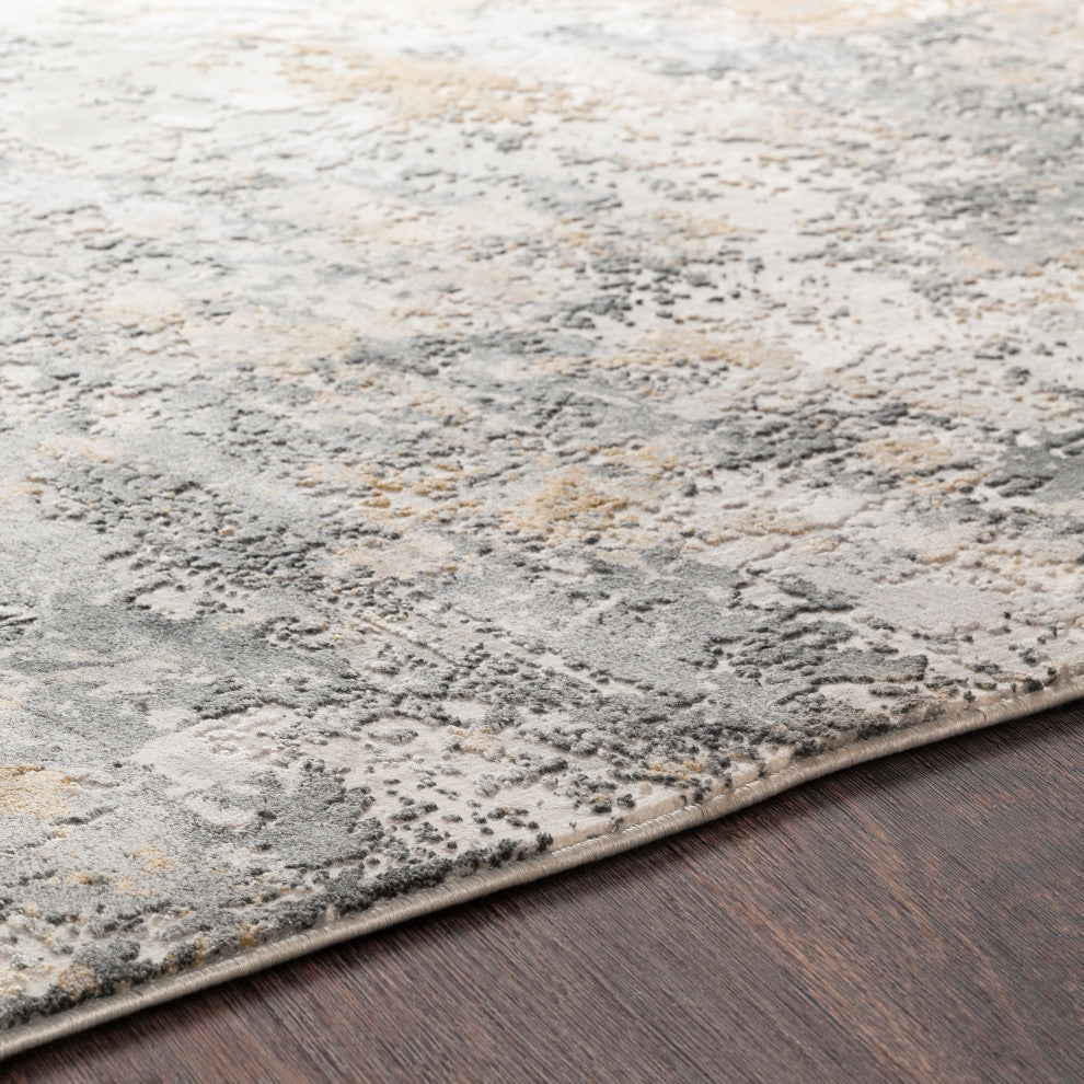 Aisha AIS-2303 Rug, Charcoal, 2'7"x7'7"