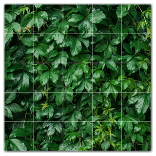 Trees Ceramic Tile Wall Mural HZ501006-55M. 30" x 30"