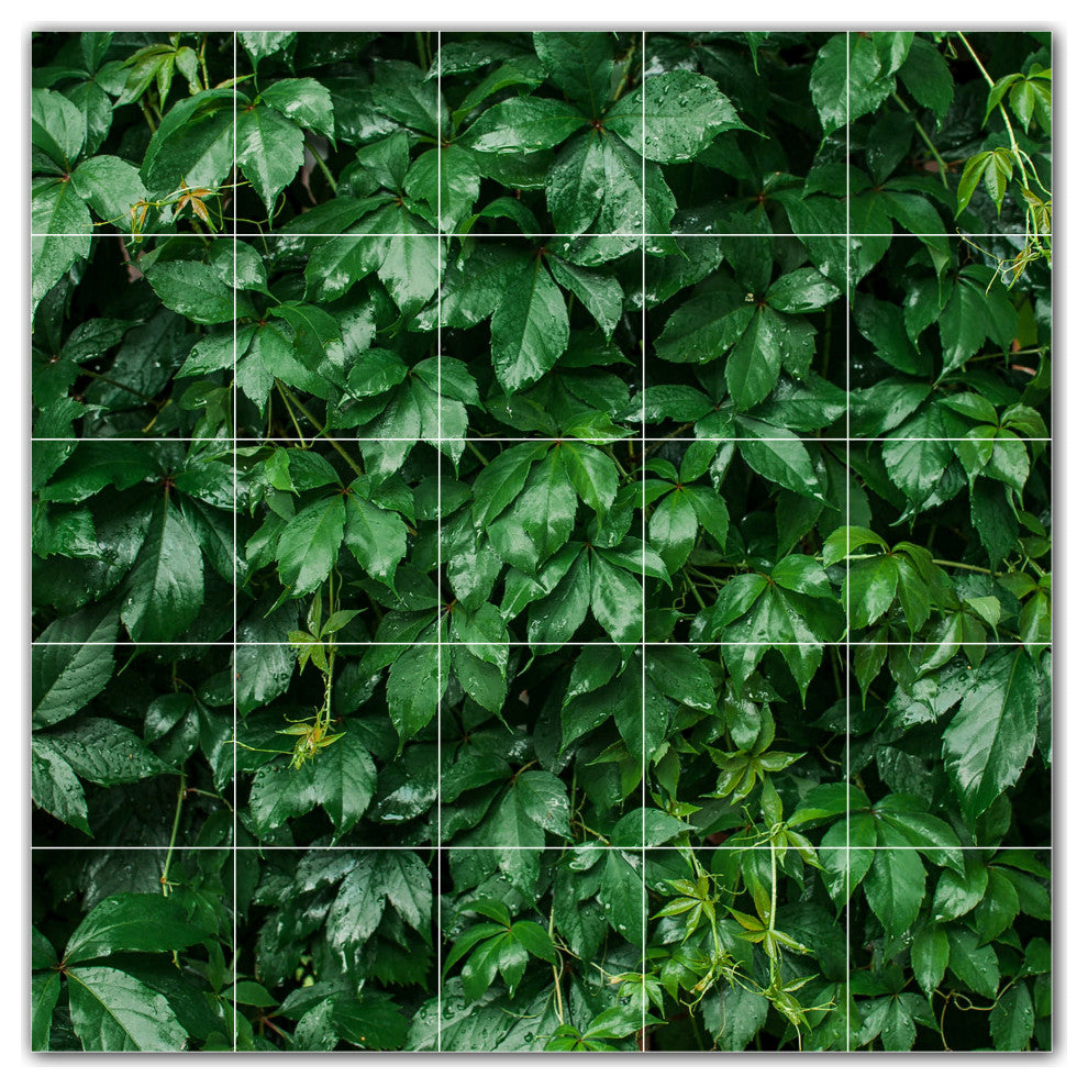 Trees Ceramic Tile Wall Mural HZ501006-55M. 30" x 30"