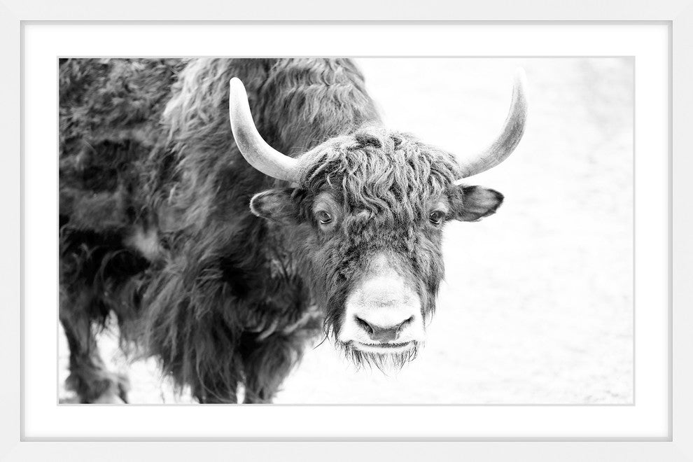 Marmont Hill, "Buffalo Forward" Framed Painting Print, 18x12