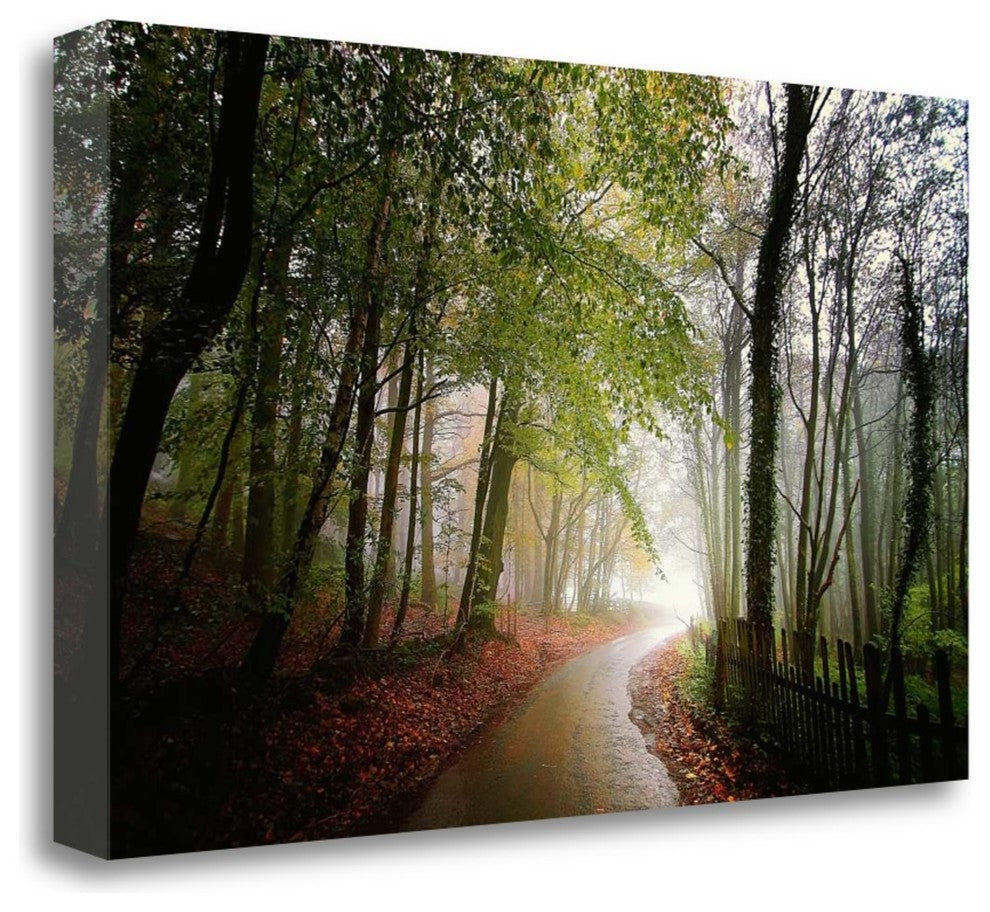 "The Fence" By Adelino Goncalves, Giclee Print on Gallery Wrap Canvas