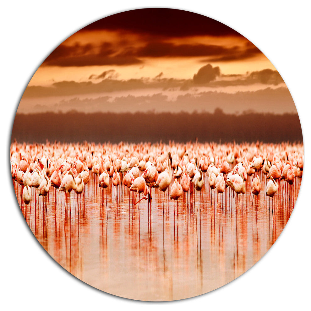 African Flamingos View At Sunset, Flower Round Metal Wall Art, 23"