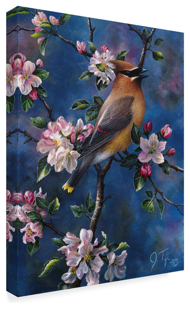 Jeff Tift 'Cedar Waxwing' Canvas Art, 32"x24"