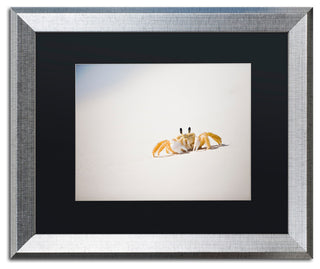 "Ghost Crab 7" Framed Art by Yale Gurney, Silver, Black, 20"x16"