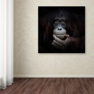 Antje Wenner Braun 'The Mirror Image' Canvas Art, 35x35