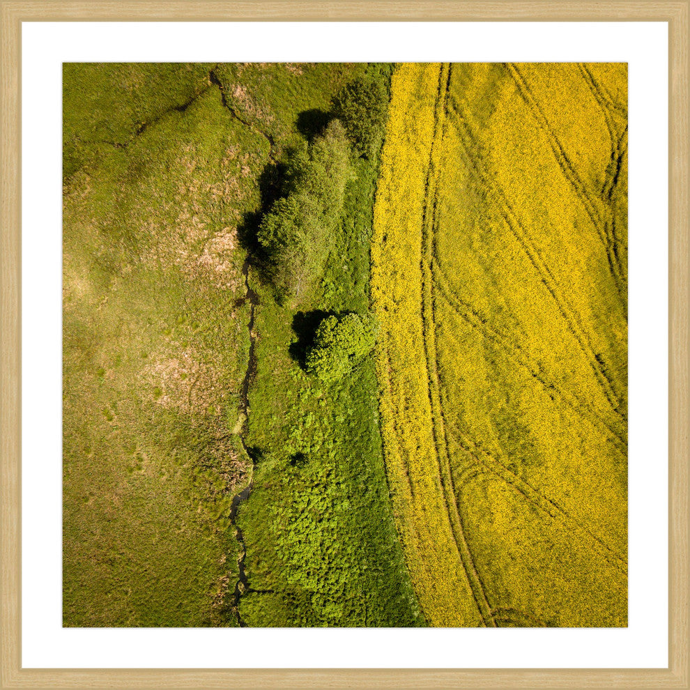 "Green Land" Framed Print by Karolis Janulis