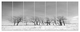 Black and White Trees in Winter, Landscape Canvas Art Print, 83"x32", 7 Panels