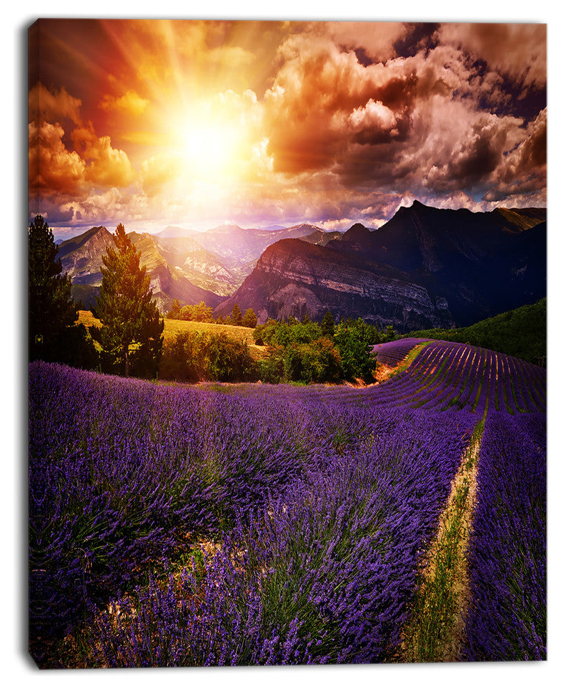 Beautiful Sunset over Lavender Field, Floral Canvas Art Print, 28"x60"