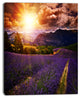 Beautiful Sunset over Lavender Field, Floral Canvas Art Print, 28"x60"