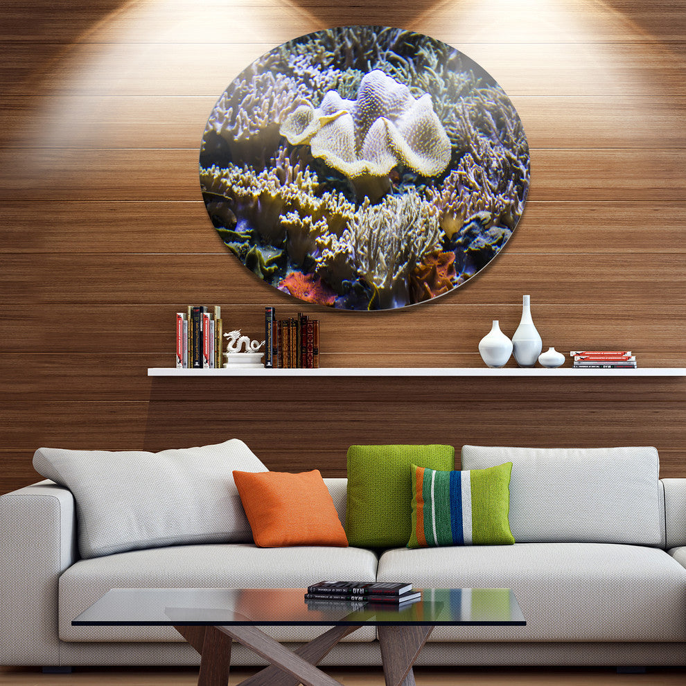 Beautiful Seabed With Fish, Landscape Disc Metal Wall Art, 36"
