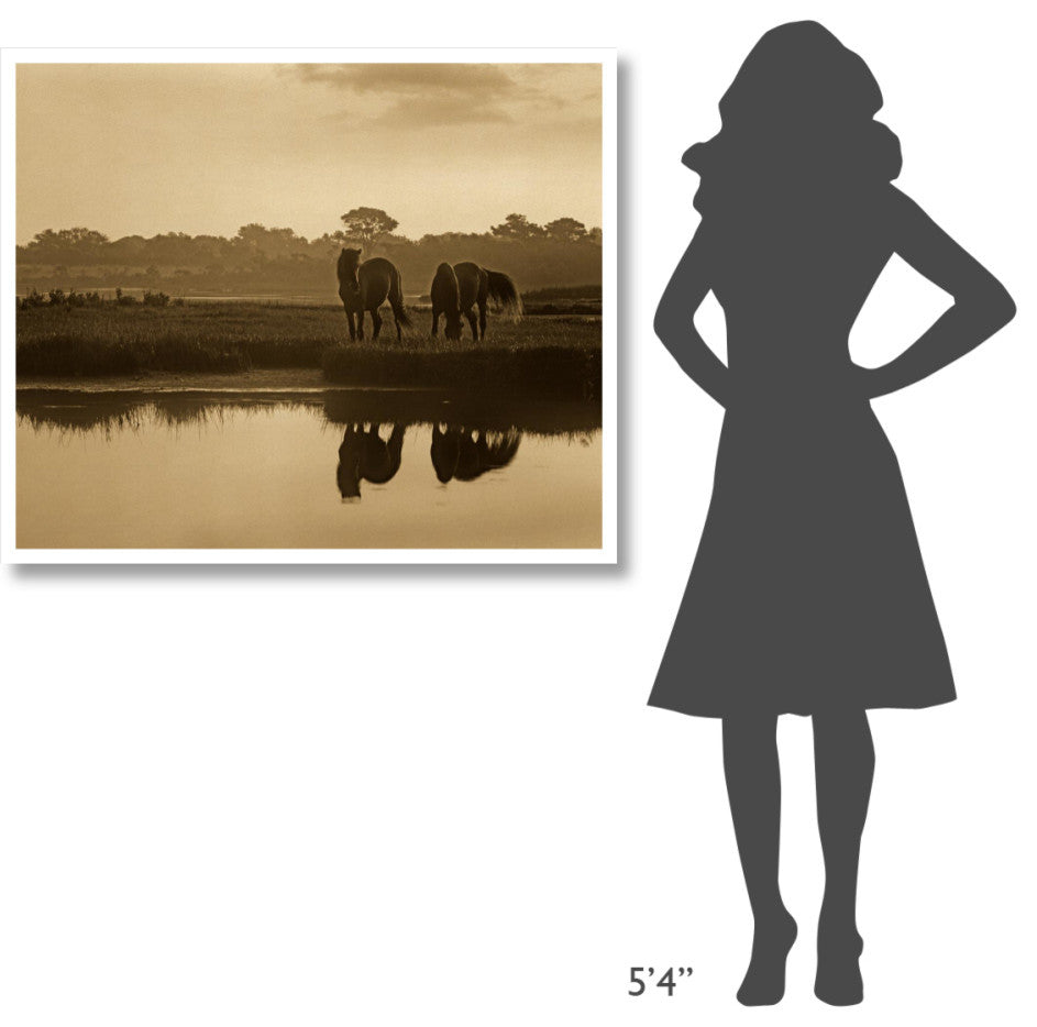 "Wild Horses grazing, Assateague Island National Seashore" Paper Art, 42"x35.2"
