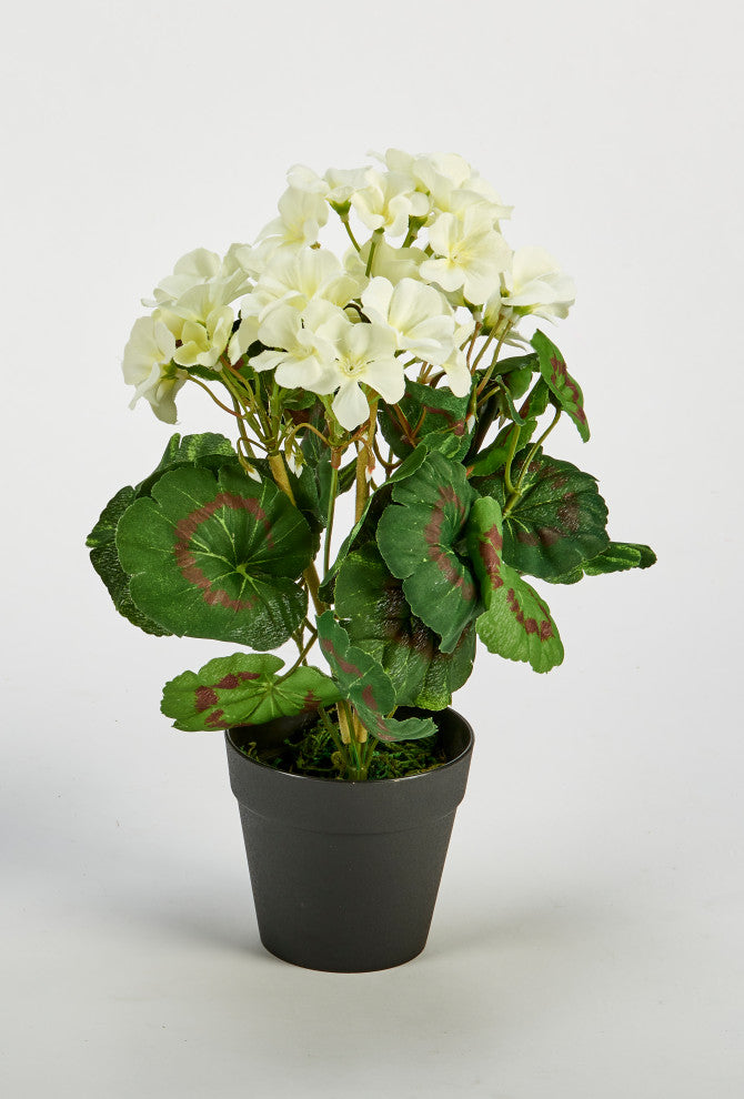 14" 7 Head Faux Geranium In 4" Pot With Moss, White