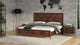 Shane Modern Acacia and Brass Bed, Queen