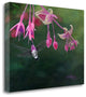 "Hover" By Julie Peterson, Giclee Print on Gallery Wrap Canvas, Ready to Hang