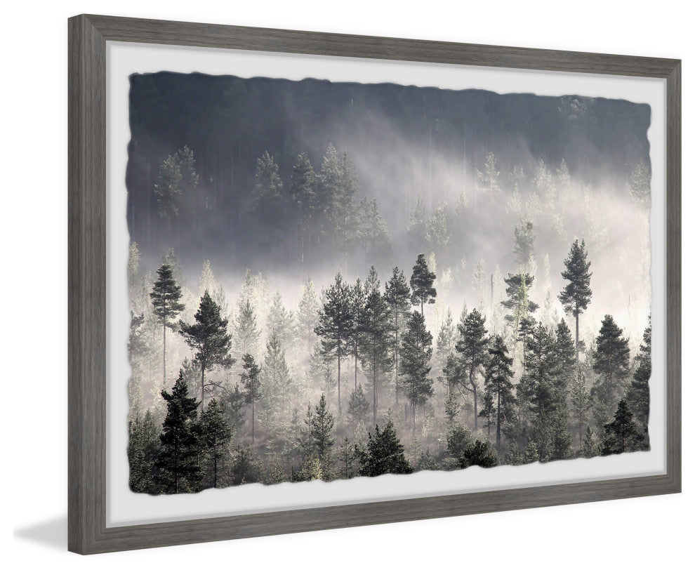 "Lungs of Our Land" Framed Painting Print, 12x8