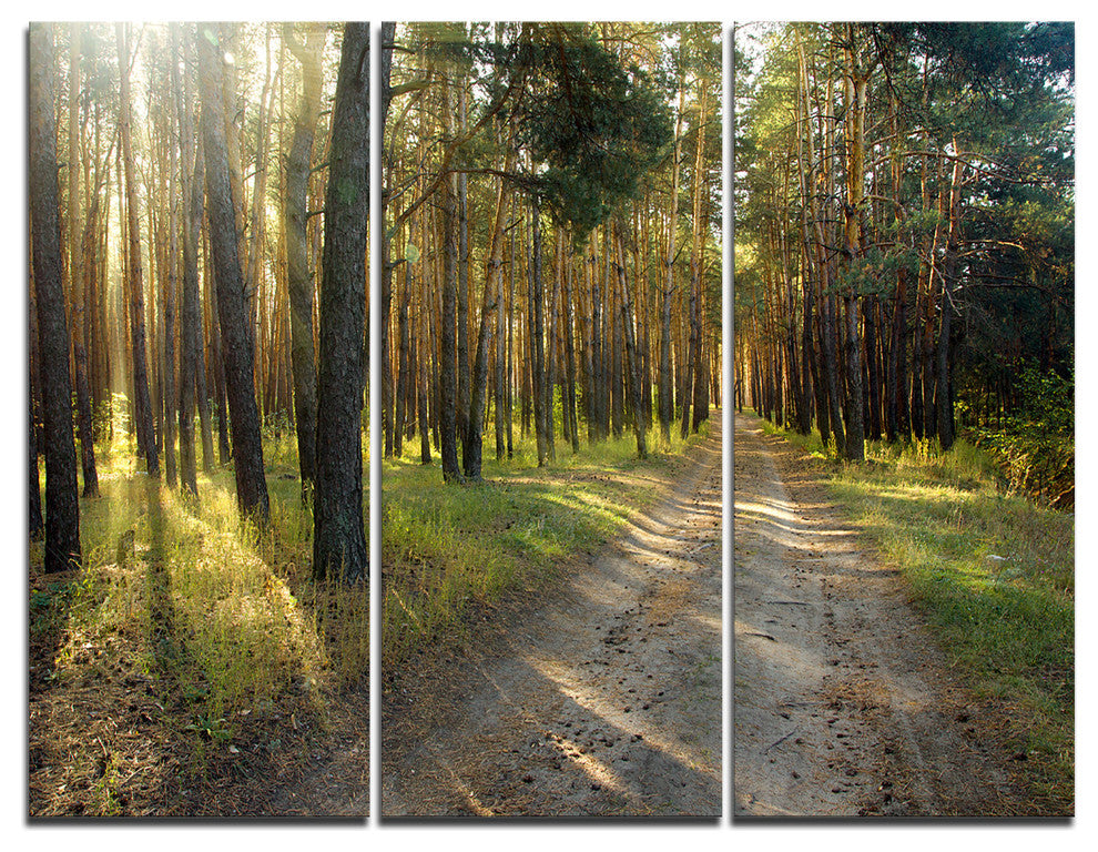 "Road Through Green Pine Forest" Photo Canvas Print, 3 Panels, 36"x28"