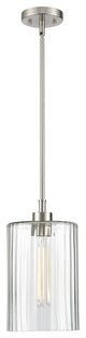 1 Light 8" Brushed Nickel Pendant