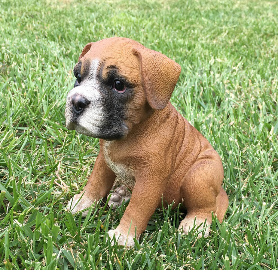 Realistic Boxer Puppy Dog Garden Statue