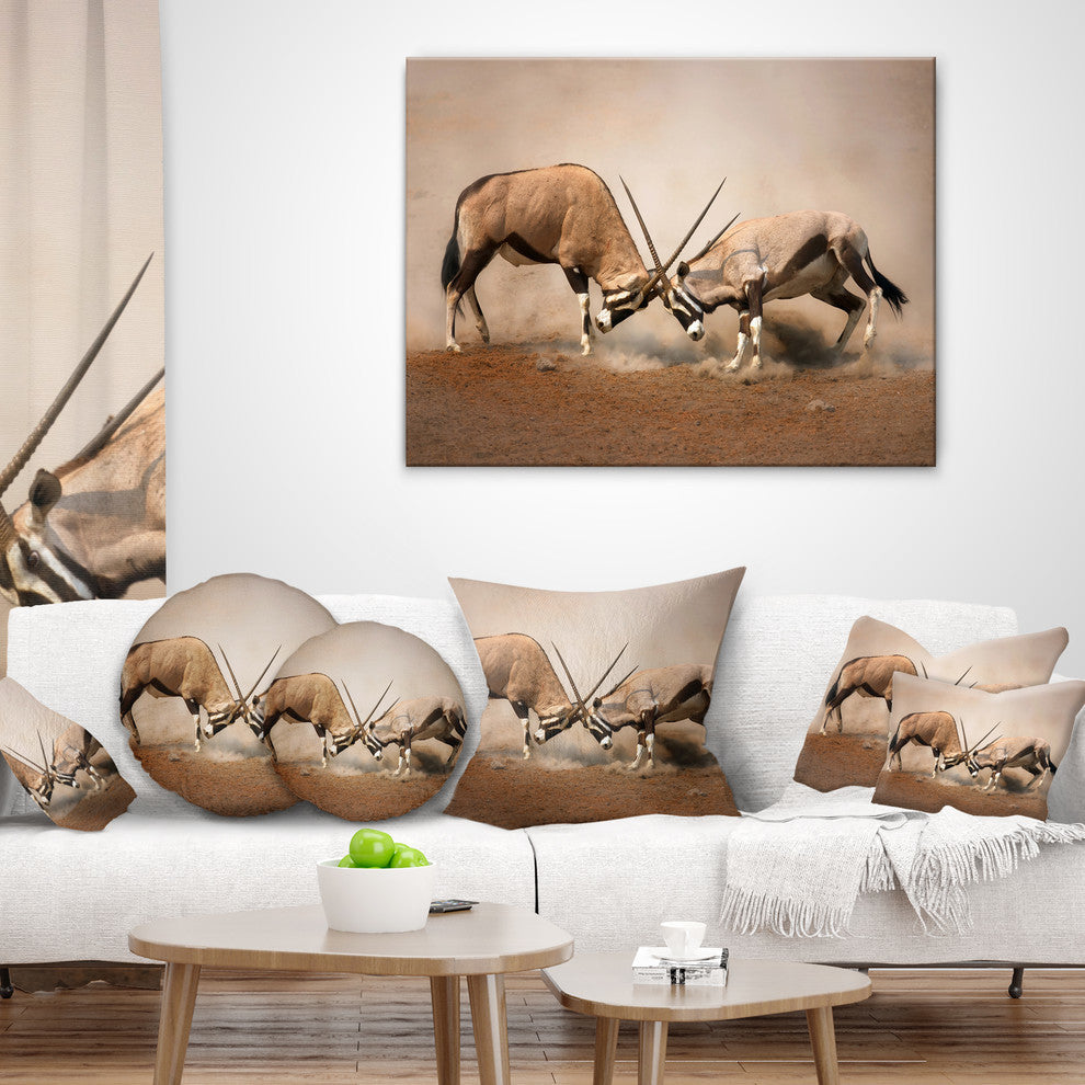 Gemsbok Antelopes Fighting African Wall Throw Pillow, 16"x16"